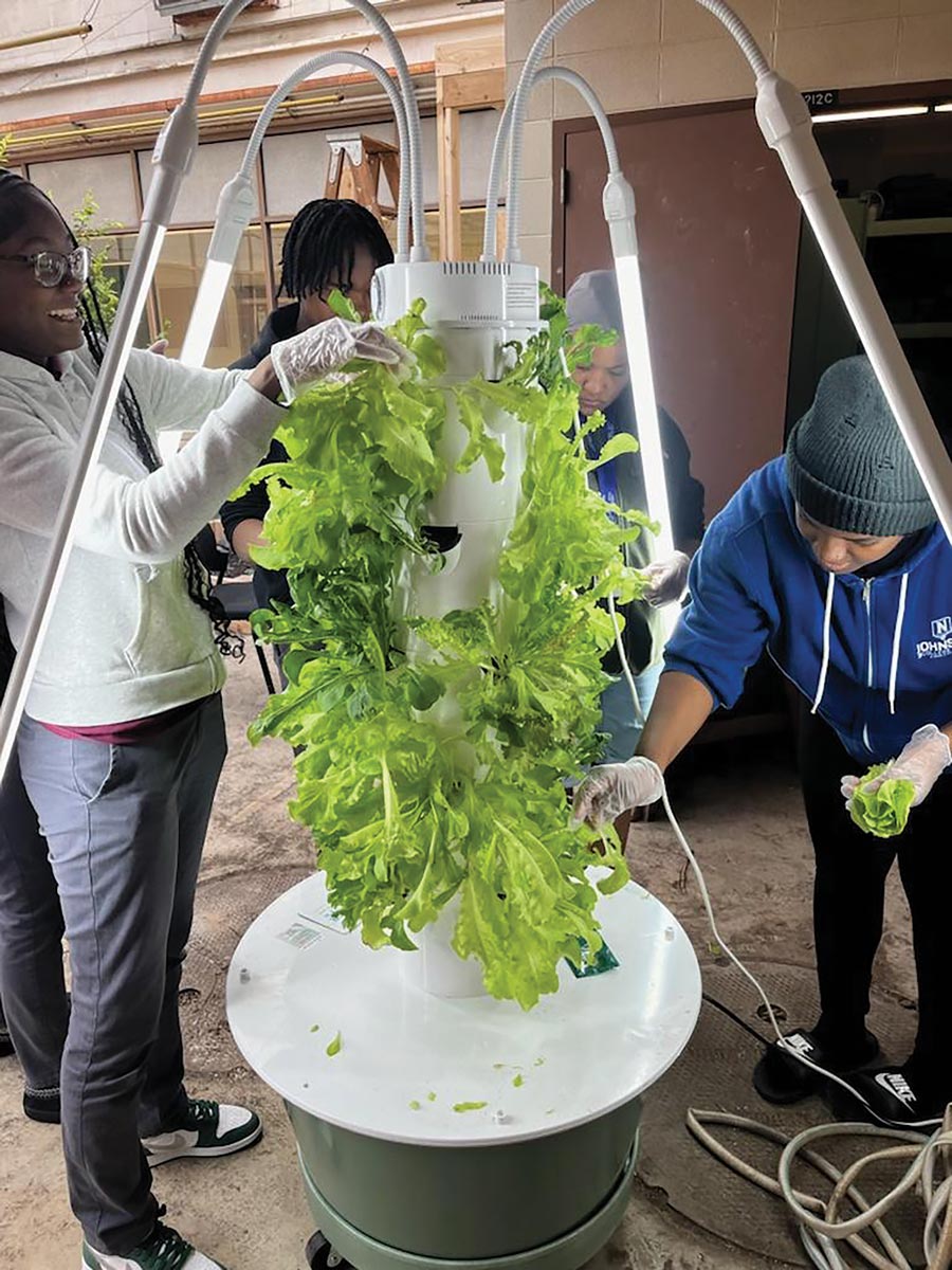 Lake-County-Aeroponic-WEB Aeroponic Tower Garden in Lake County