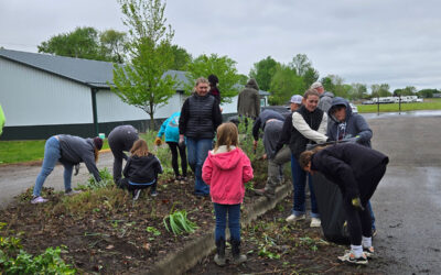 YES Grants Application Deadline March 15